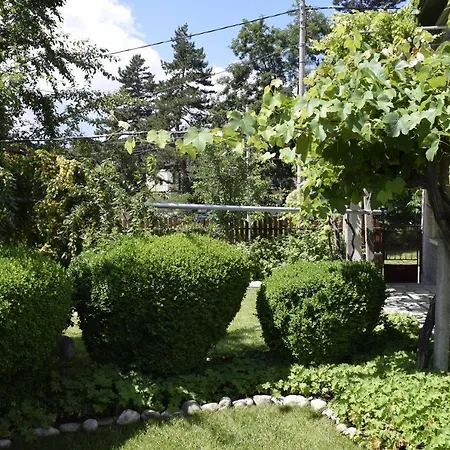 Alloggio in famiglia за гости 